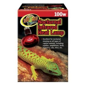 Infrared Heat Lamp 100w - Zoomed