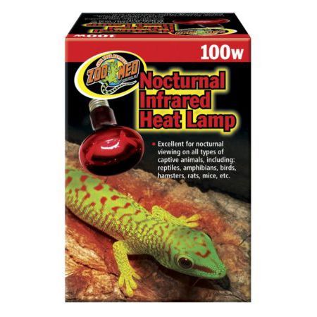 Infrared Heat Lamp 100w - Zoomed