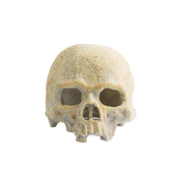 exo terra glow skull craneo pt2899