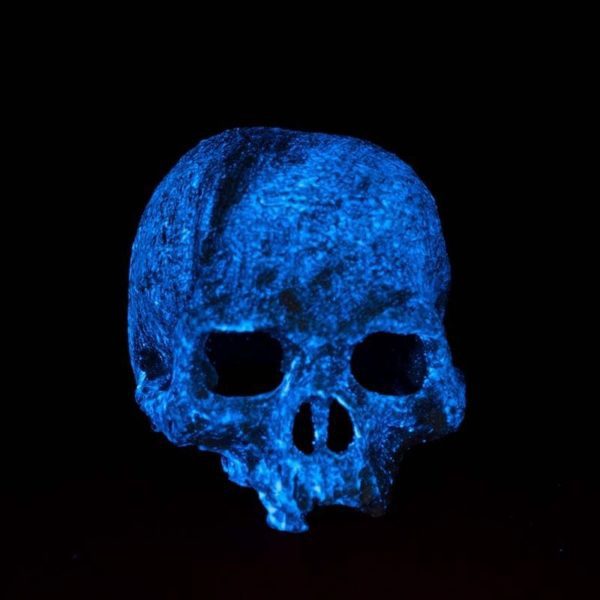 exo terra glow skull craneo pt2899 b