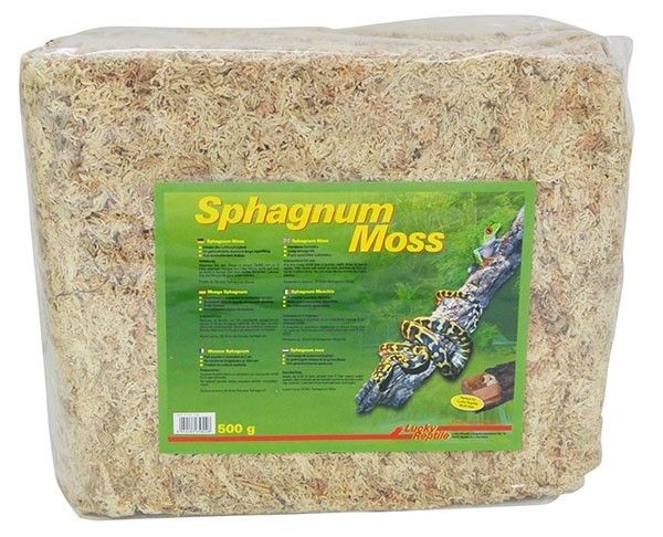 lucky reptile sphagnum moss