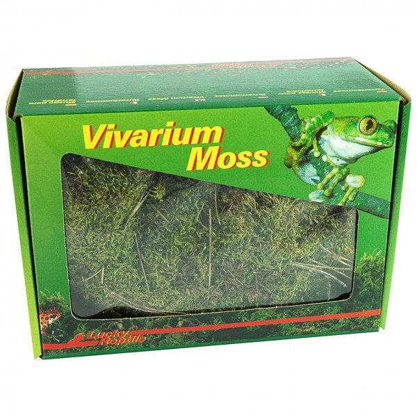 lucky reptile vivarium moss