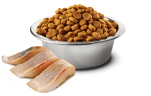 N&D CAT OCEAN NEUTRED ARENQUE & NARANJA 1,5KG - Imagen 2