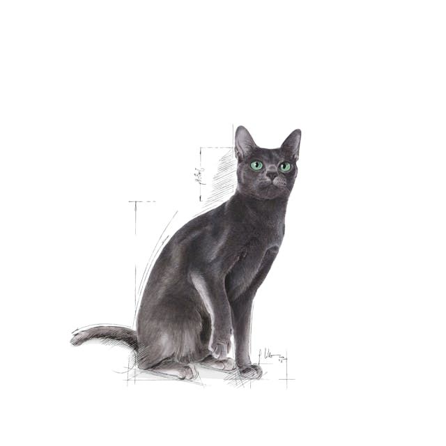 ROYAL CANIN Sterilised 37 2 kg - Imagen 3