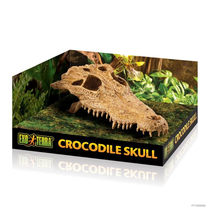 EXO TERRA CROCODILE SKULL PT2856