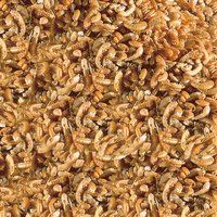 SERA RAFFY I 250ML 36gr - Imagen 2