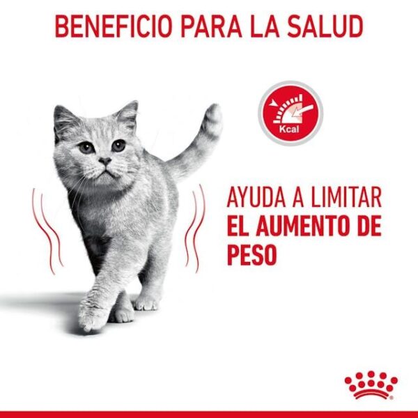 ROYAL CANIN Ultra Light (salsa)  85 gr - Imagen 5