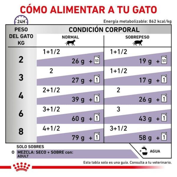 ROYAL CANIN Neutered Maintenance (finas láminas en salsa)  85 gr - Imagen 2