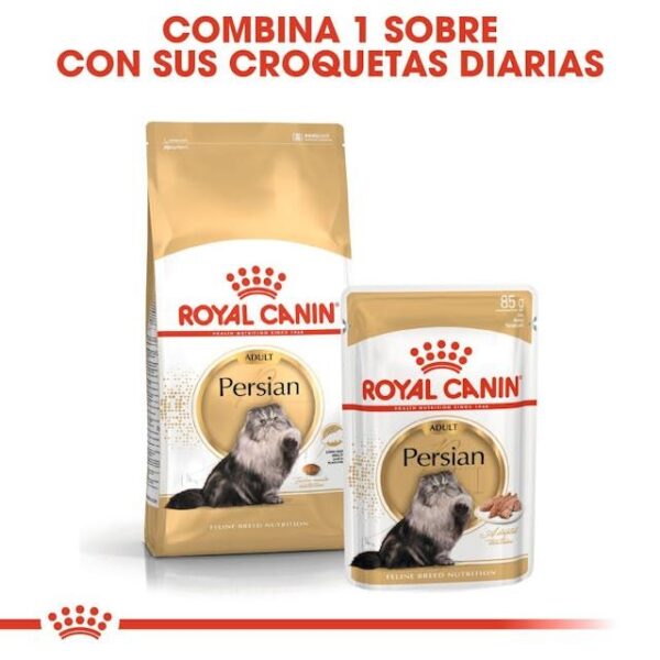 ROYAL CANIN Persian Paté 85 gr - Imagen 5