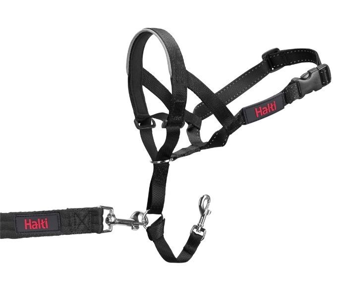 COLLAR PERRO HALTI NEGRO TALLA 4 - Imagen 5