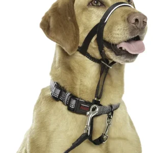 COLLAR PERRO HALTI NEGRO TALLA 4