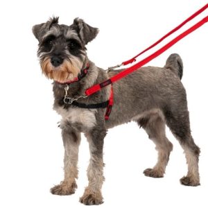 ARNÉS PERRO HALTI TALLA M 60-80cm PECHO