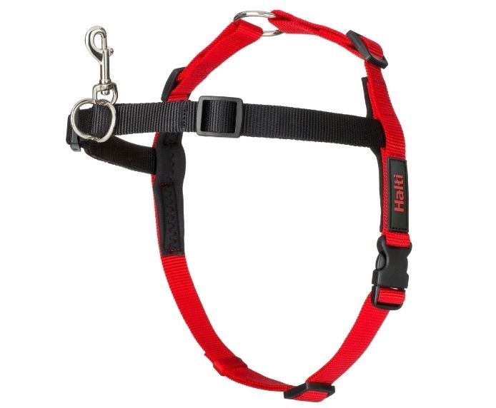 ARNÉS PERRO HALTI TALLA S 30-60cm PECHO - Imagen 2