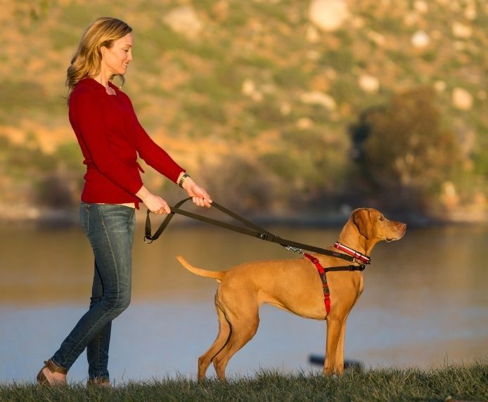 ARNÉS PERRO HALTI TALLA S 30-60cm PECHO - Imagen 4