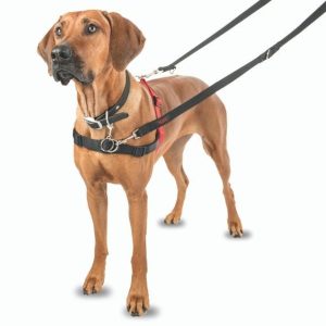 ARNÉS PERRO HALTI TALLA L +80cm PECHO
