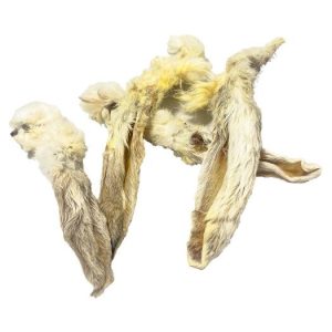 Fresh Raw Oreja de conejo con pelo 1und