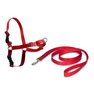 EASY WALK ARNES XL ROJO