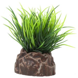 Planta Magic Plants Mod63 5cm