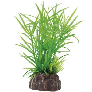 Planta Magic Plants Mod82 8cm