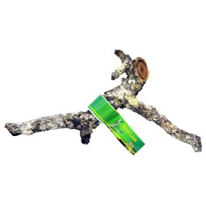 LUCKY REPTILE "Tronchos" Cork Branch 40-60 cm