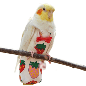 PAÑALES PARA AVES
