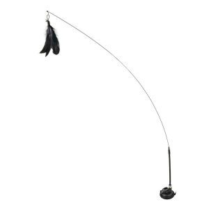 JUEGO CON PLUMA