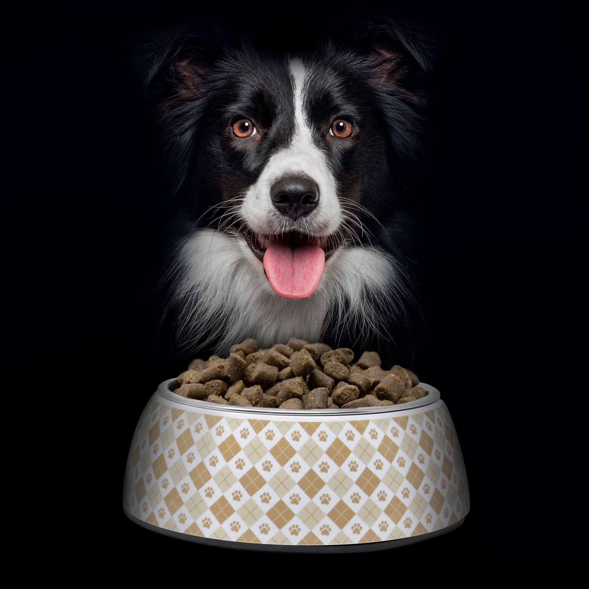 NutraDog Wild 10kg Puppy - Imagen 7