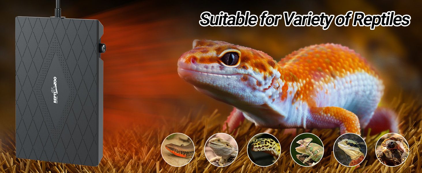 REPTIZOO Panel calefactor con ventilador 60W - Imagen 16
