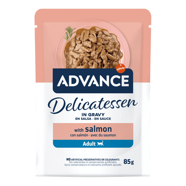 MATERIALES_969044_AffinityAdvCat_WetPhysio2025_AdultSalmon_85g_2D_FRONT_4000px_Resized.png