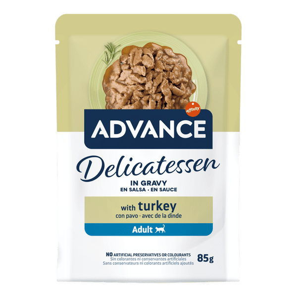 MATERIALES_969046_AffinityAdvCat_WetPhysio2025_AdultTurkey_85g_2D_FRONT_4000px_Resized.png
