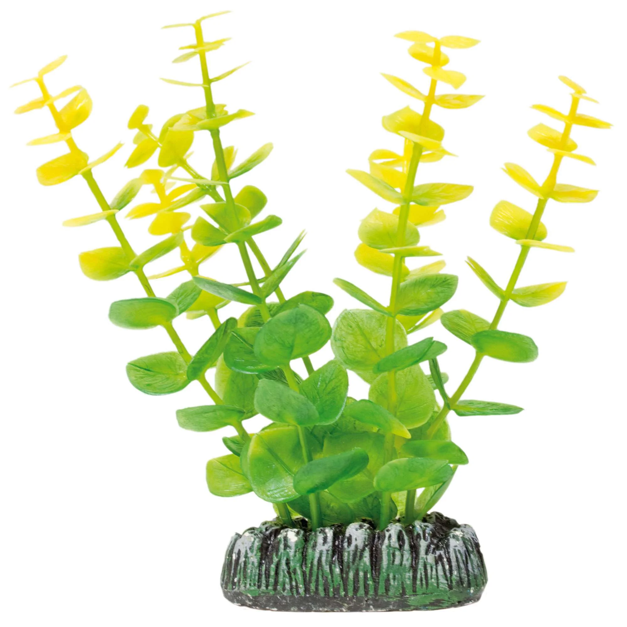 ap1009-bacopa-de-aquatic-plants-plastico-13-cm_general_117.jpg.webp