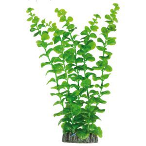 ap1010-bacopa-australis-de-aquatic-plants-plastico-28-cm_general_118.jpg