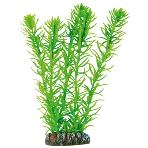 ap1017-egeria-de-aquatic-plants-plastico-20-cm_general_125.jpg.webp