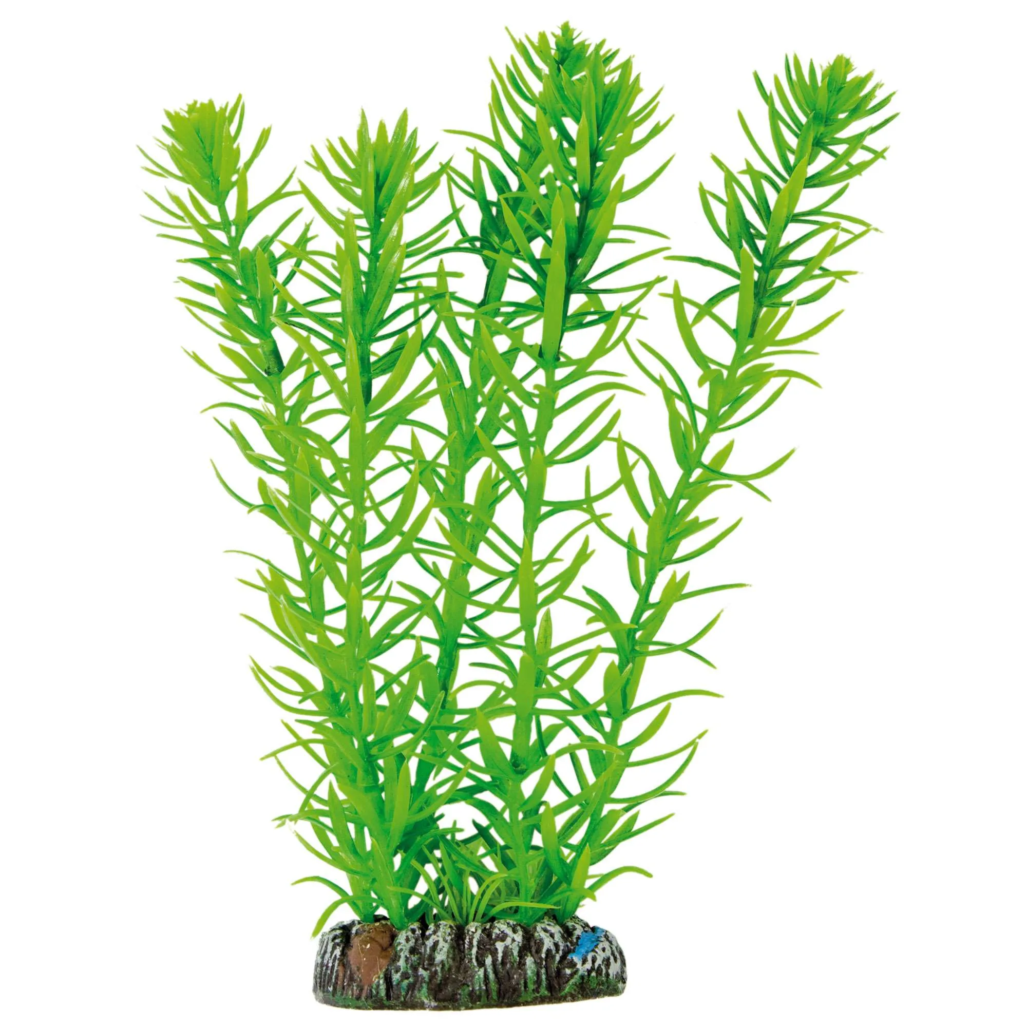 ap1017-egeria-de-aquatic-plants-plastico-20-cm_general_125.jpg.webp