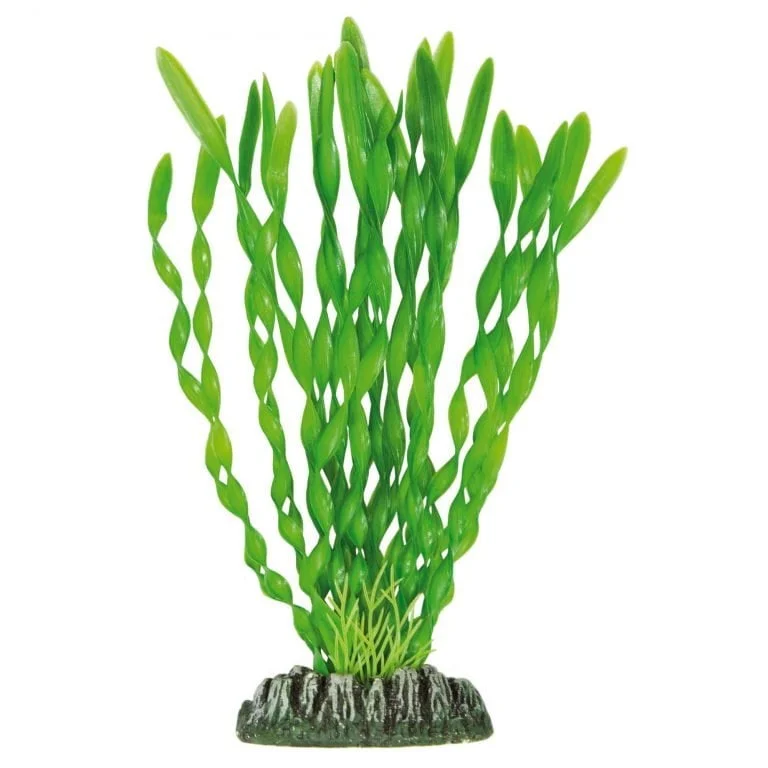 ap1034-vallisneria-de-aquatic-plants-plastico-21-5-cm_general_142-768x768.jpg.webp