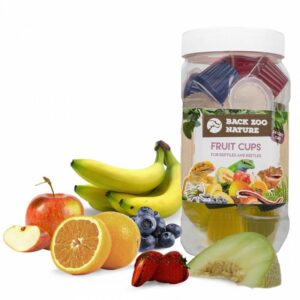 back-zoo-nature-fruit-cups-for-reptiles-and-beetles-24-pcs.jpg