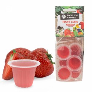back-zoo-nature-fruitkuipjes-aardbei_7.jpg