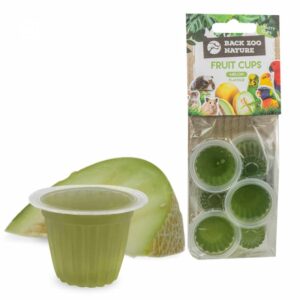back-zoo-nature-fruitkuipjes-meloen.jpg