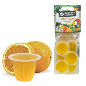 back-zoo-nature-fruitkuipjes-sinaasappel.jpg